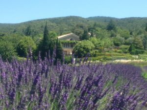 Vue Maison - Gîtes et Chambres d'hôtes - Les Terrasses du Soleil